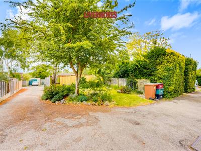 Picture 20